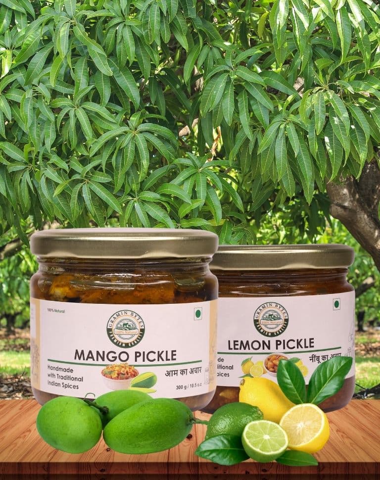 Gramin Bytes 100% Organic and ayurvedic Pickle